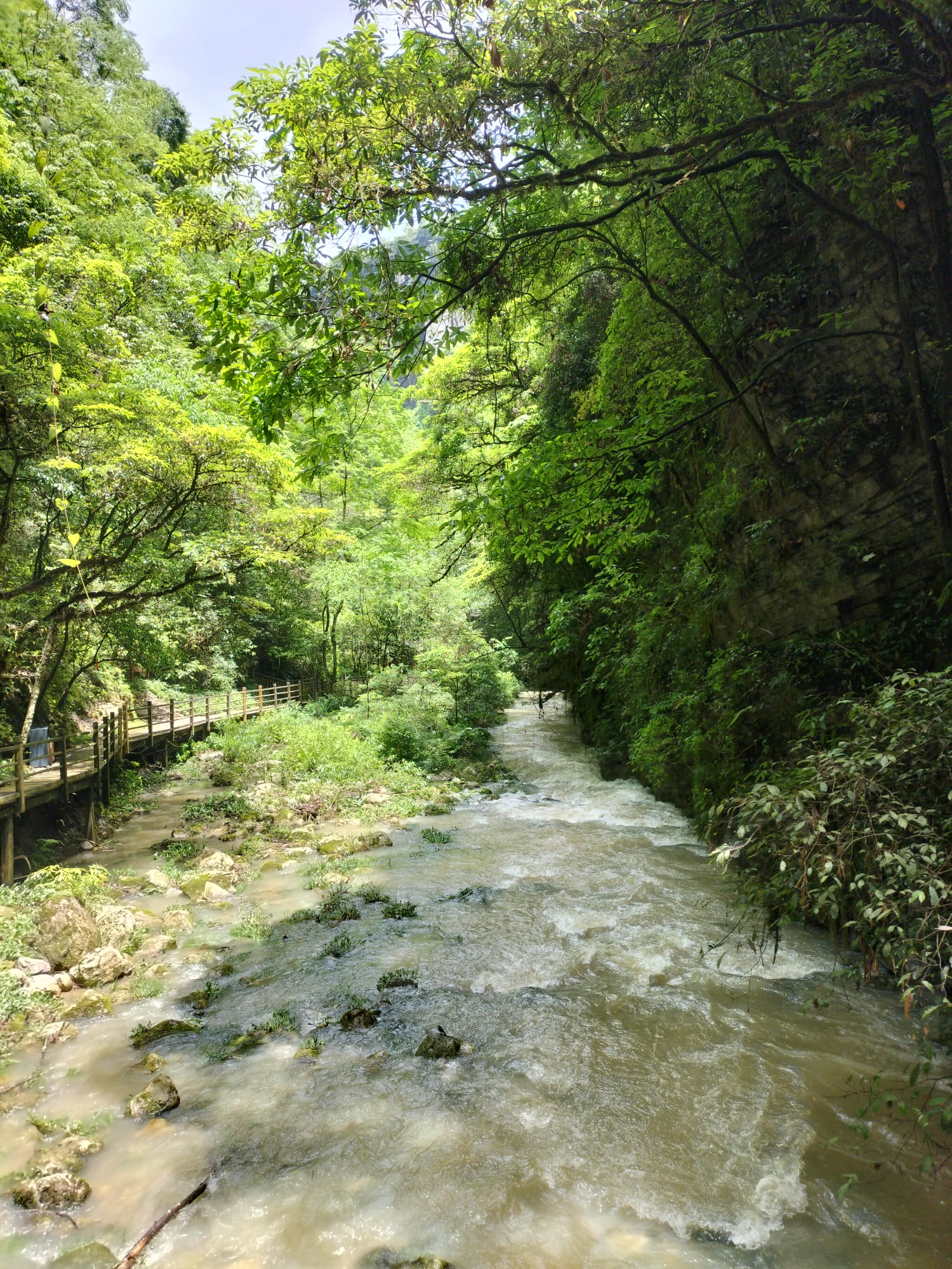 Corriente de agua en la naturaleza