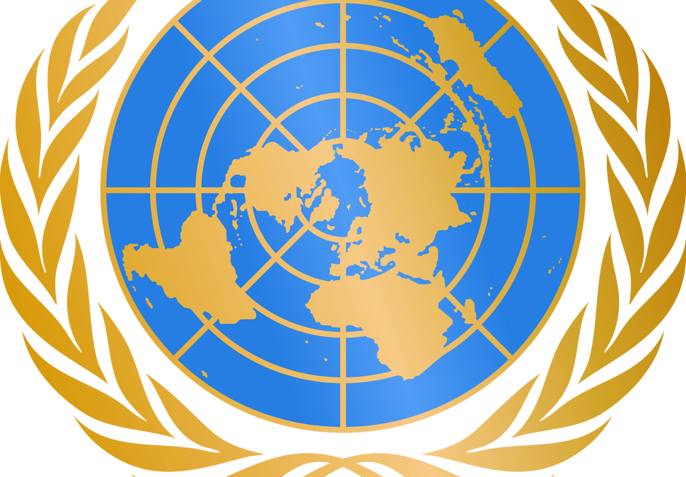 UN REFORM PROPOSAL – 3     SPECIFIC OBJECTIVE